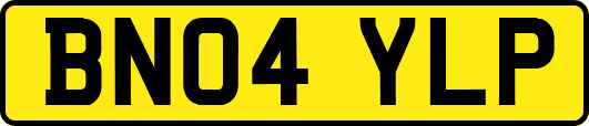 BN04YLP