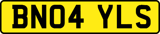 BN04YLS