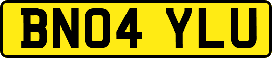 BN04YLU