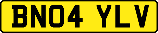 BN04YLV