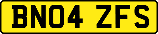 BN04ZFS