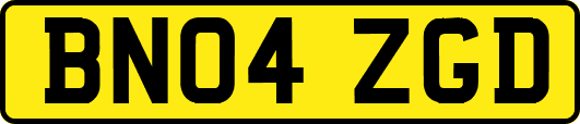 BN04ZGD