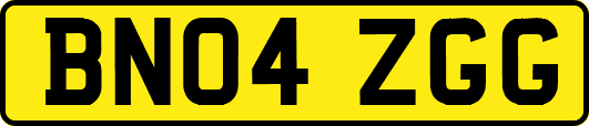 BN04ZGG