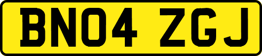 BN04ZGJ