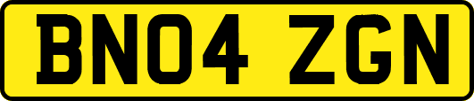 BN04ZGN