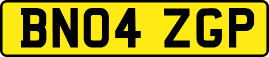 BN04ZGP
