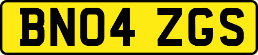 BN04ZGS