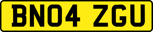 BN04ZGU