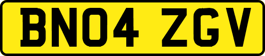 BN04ZGV