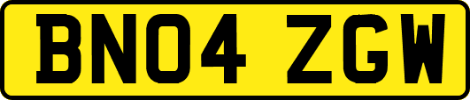 BN04ZGW