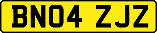 BN04ZJZ