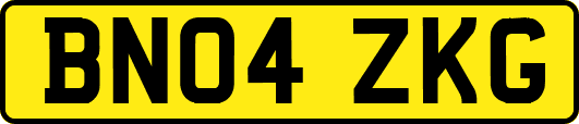BN04ZKG