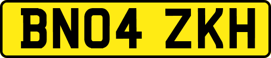 BN04ZKH