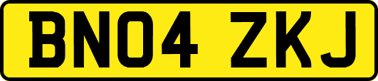 BN04ZKJ