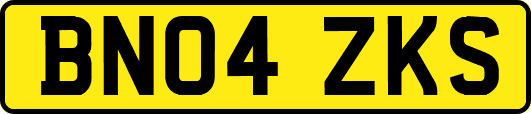 BN04ZKS