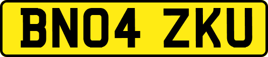 BN04ZKU