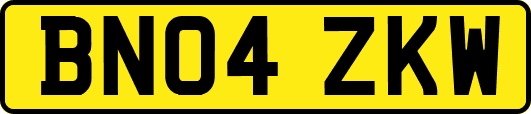 BN04ZKW