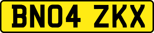 BN04ZKX