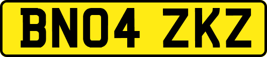 BN04ZKZ