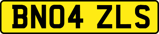 BN04ZLS