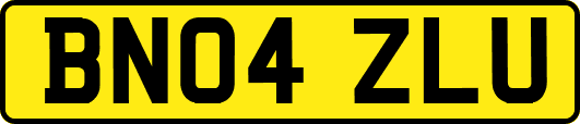 BN04ZLU