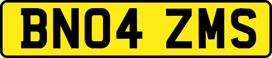 BN04ZMS