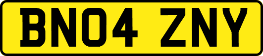 BN04ZNY