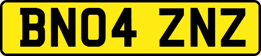 BN04ZNZ