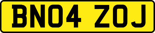 BN04ZOJ