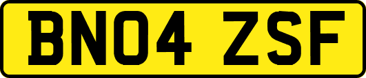 BN04ZSF