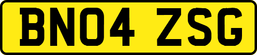BN04ZSG