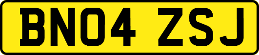 BN04ZSJ