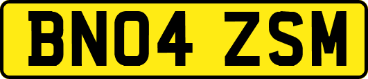BN04ZSM