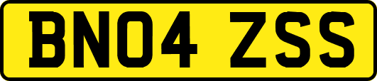 BN04ZSS