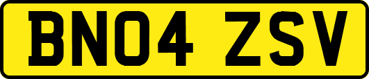 BN04ZSV