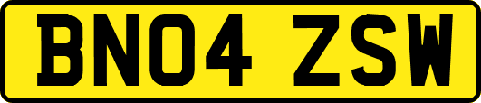 BN04ZSW