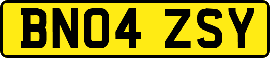 BN04ZSY
