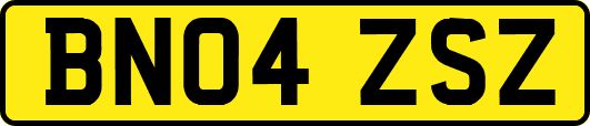 BN04ZSZ
