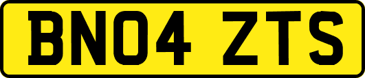 BN04ZTS