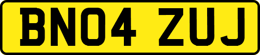 BN04ZUJ