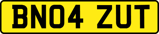 BN04ZUT