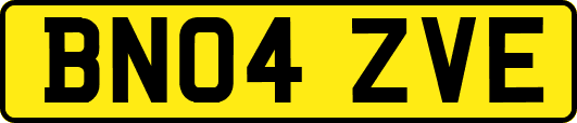 BN04ZVE