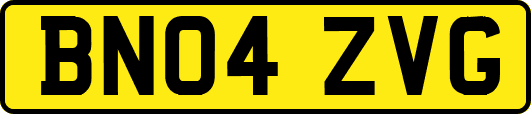 BN04ZVG