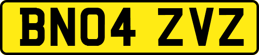 BN04ZVZ