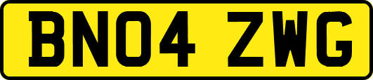 BN04ZWG