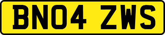 BN04ZWS