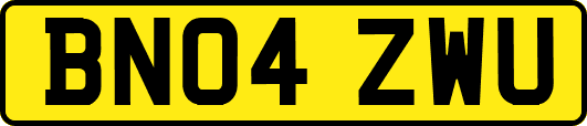 BN04ZWU
