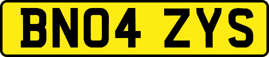BN04ZYS