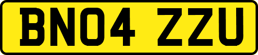 BN04ZZU