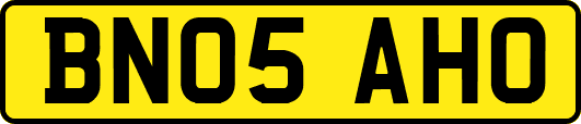 BN05AHO